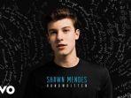 imagination-shawn-mendes.jpg