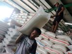 Pengamat Sayangkan Ada Demurrage: Pastikan Administrasi Distribusi Beras Sesuai