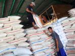 impor-beras-3-juta-ton-akan-datang-pada-maret-2024_20240110_195427.jpg