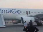 indigo-india.jpg