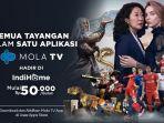 indihome-mola-tv.jpg
