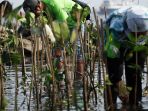 indofood-sukses-makmur-tanam-2000-pohon-bakau-untuk-jakarta_20180805_221939.jpg