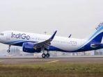 indogo-airlines.jpg