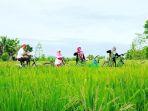 indonesiatravel-bersepeda-di-desa-wisata-bilebante.jpg