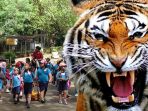 ingin-foto-bareng-bayi-harimau-anak-tk-ini-malah-diterkam_20170315_181740.jpg