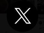 ini-ilustrasi-platform-x.jpg