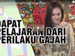 ini-yang-dipelajari-wulan-guritno-dari-perilaku-gajah.jpg