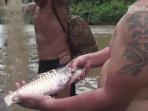 inilah-ikan-keramat-dari-pedalaman-kalimantan-timur_20160404_224905.jpg