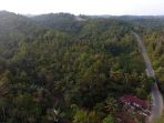 inilah-lokasi-ibu-kota-baru-indonesia-di-samboja-kaltim_20190826_210153.jpg