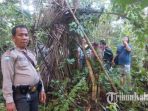 inilah-lokasi-tempat-ditemukannya-jasad-pelaku-pembacokan-dan-pembakaran_20180105_015106.jpg