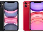iphone-11-erafone.jpg