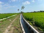 irigasipertanianlampung1.jpg