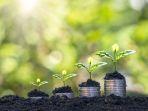 Bisa Untung Besar dengan Risiko Kecil, Ini Kelebihan Investasi Tanah