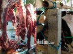 isu-daging-bangkai-sapi.jpg