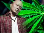 iwa-k-tertangkap-gara-gara-ganja_20170429_122327.jpg