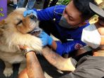 jabar-punya-informasi-bertema-jabar-kick-out-rabies-2022_20220928_210143.jpg