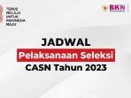 jadwal-cpns-2023.jpg