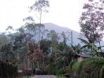 jalan-menuju-jalur-pendakian-gunung-slamet_20180405_051447.jpg