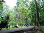 jalur-vip_20151107_162328.jpg