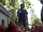 jambu-merah-delima-demak_20150625_165543.jpg