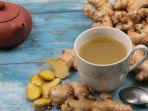 jamu-obat.jpg