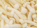 jamur-enoki-yoikk.jpg