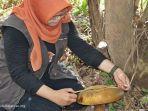 jamur-raksasa-tumbuh-di-barito-kuala-punya-ukuran-30-sentimeter-ditemukan-secara-tak-sengaja.jpg