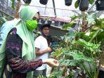 janda-bolong-93875-59.jpg