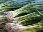 jangan-buang-bagian-bonggol-daun-bawang-bisa-ditanam-lagi_20180318_092154.jpg