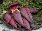 7 Manfaat Konsumsi Jantung Pisang, Meningkatkan Produksi ASI hingga Sehatkan Rahim