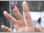 jari-tinta.jpg