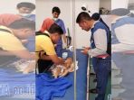 jasad-bayi-gio-saat-dibawa-ke-rumah-sakit-bocah-itu-tewas-diduga-karena-d_20180110_085401.jpg