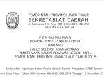 jatim-cpns-1.jpg