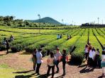 jeju-korea-selatan_20150918_140833.jpg