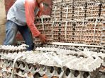 jelang-tahun-baru-imlek-harga-telur-ayam-merangkak-naik_20210210_222748.jpg