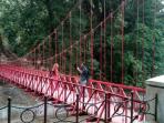 jembatan-cinta-yang-berada-di-kebun-raya-bogor_20151002_082040.jpg