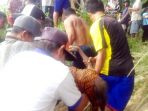 jenazah-nenek-rahma-mengapung-di-sungai-batanghari_20170208_080158.jpg