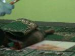 jenazah-seorang-pria-yang-tewas-diduga-dibacok-saat-sedang-melaksanakan.jpg