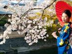 jepang-wisata_20151107_131351.jpg