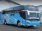 jetbus-5-nafit-trans-ok.jpg