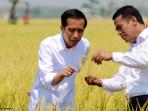 joko-widodo-nih2_20151003_150204.jpg