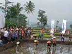 jokowi-blusukan-ke-area-persawahan-desa-leuwigoong-garut.jpg