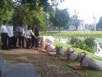 jokowi-dan-domba-nih2_20160827_102548.jpg