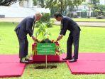 jokowi-dan-pm-australia-tanam-pohon.jpg