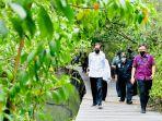 jokowi-di-hutan-mangrove.jpg