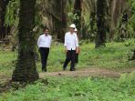 jokowi-di-kebun-sawit_20171015_193535.jpg
