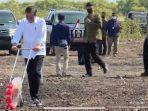 jokowi-di-sumba-timur-lahan-sorgum.jpg