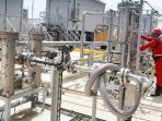 jokowi-resmikan-pltg-mpp-500-mw-di-kalimantan-barat_20170320_105527.jpg