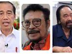 jokowi-syl-dan-surya-paloh-kolase.jpg