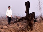 jokowi-tinjau-lokasi-kebakaran-lahan-di-kalimantan_20150923_174643.jpg